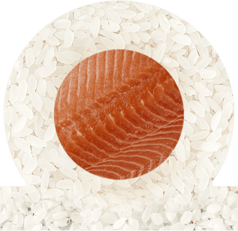 Plaster łososia ułożony na białym ryżu, tworzący kształt przypominający flagę Japonii.